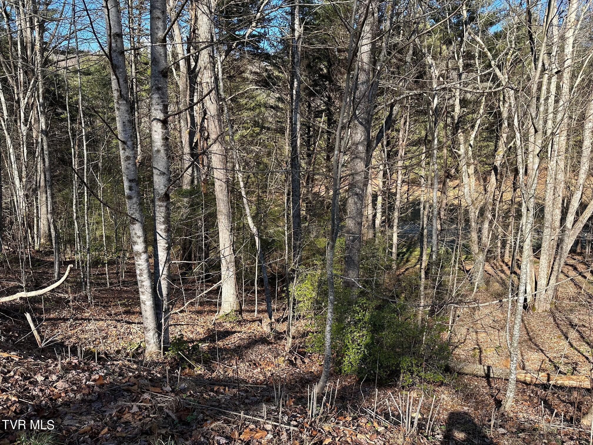 Tbd00 Laurelwood Drive, Mountain City, Tennessee image 6