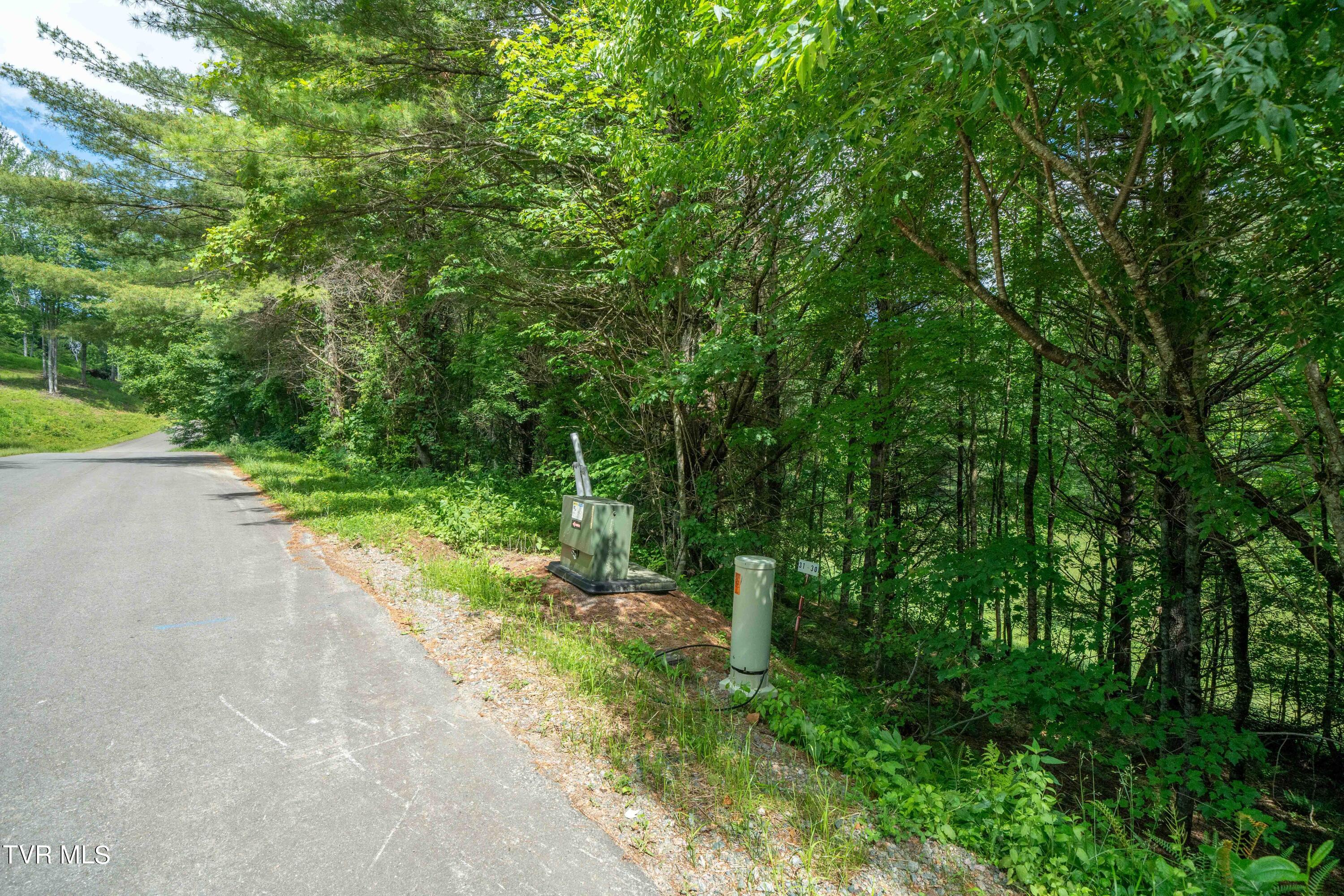 Tbd00 Laurelwood Drive, Mountain City, Tennessee image 37
