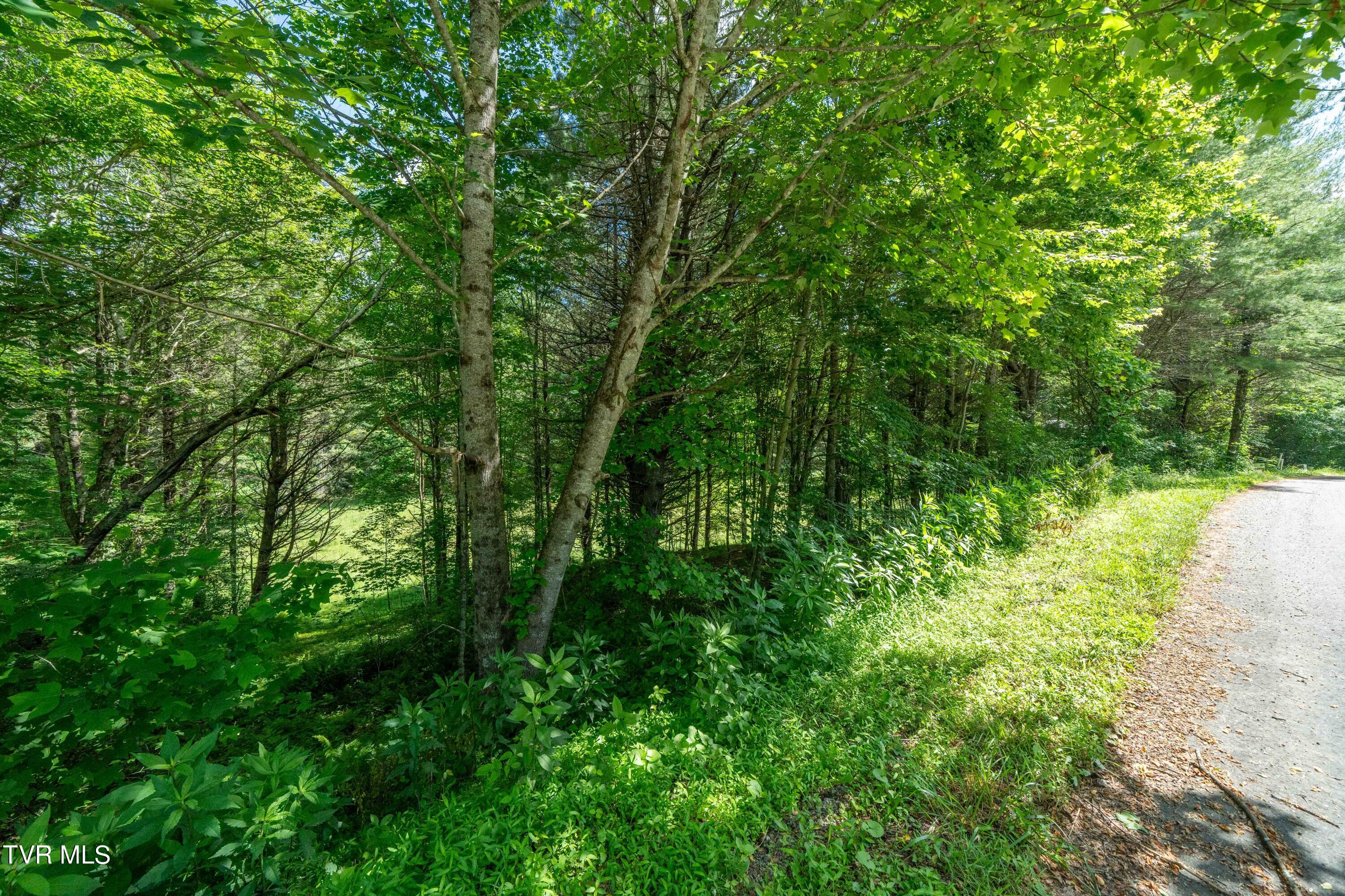 Tbd00 Laurelwood Drive, Mountain City, Tennessee image 41