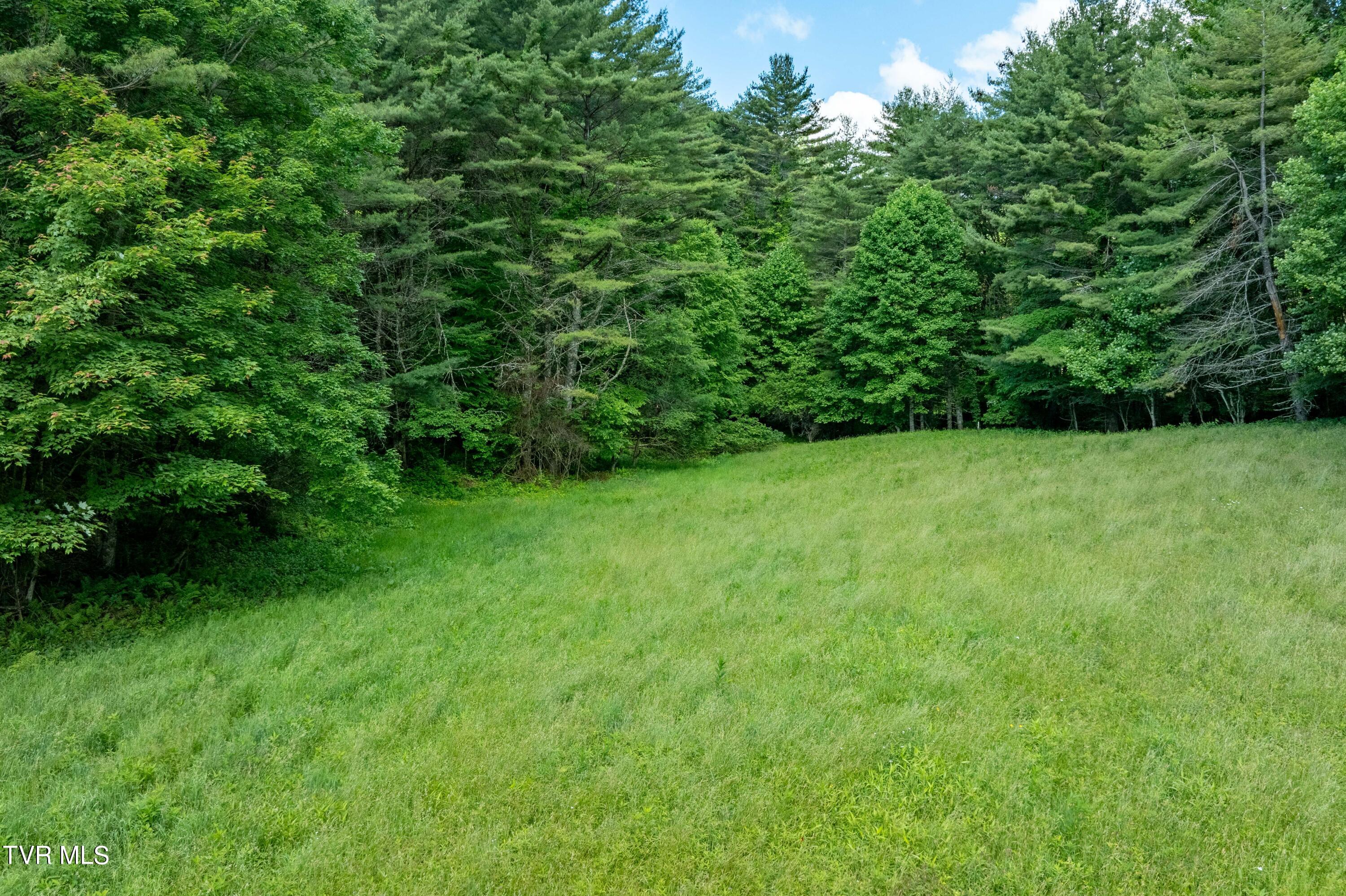 Tbd00 Laurelwood Drive, Mountain City, Tennessee image 34