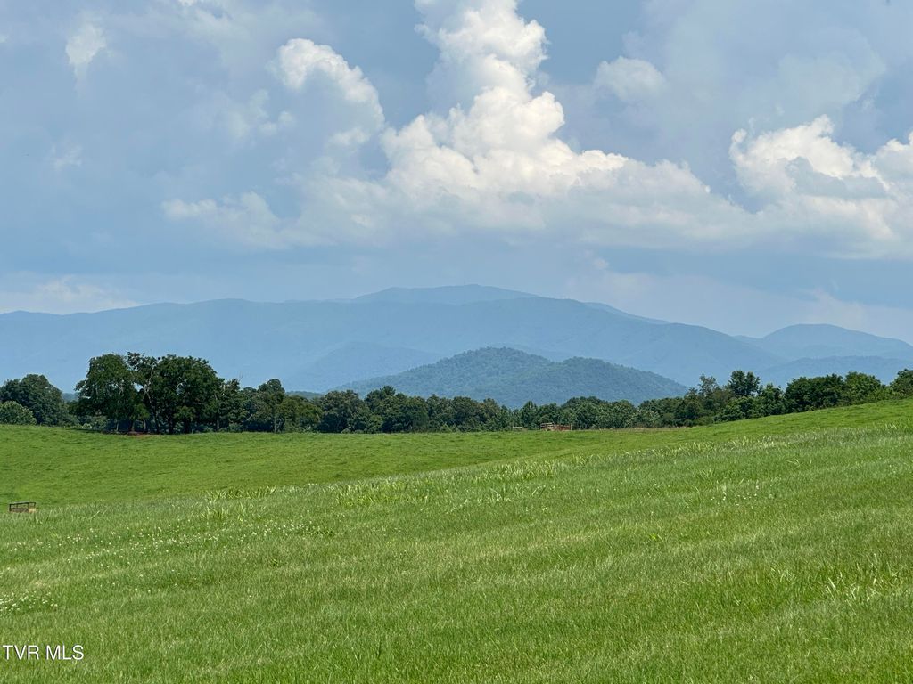 Photo of 3655 Allens Bridge Road, Greeneville, TN 37743 (MLS # 9993782)
