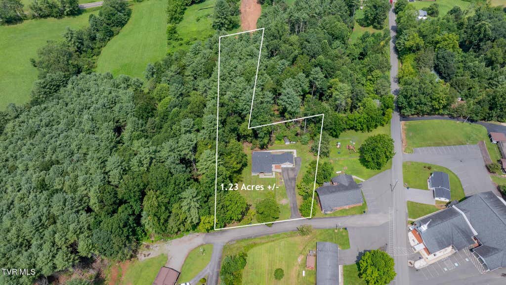 Photo of 140 Tanglewood Drive, Mountain City, TN 37683 (MLS # 9999470)