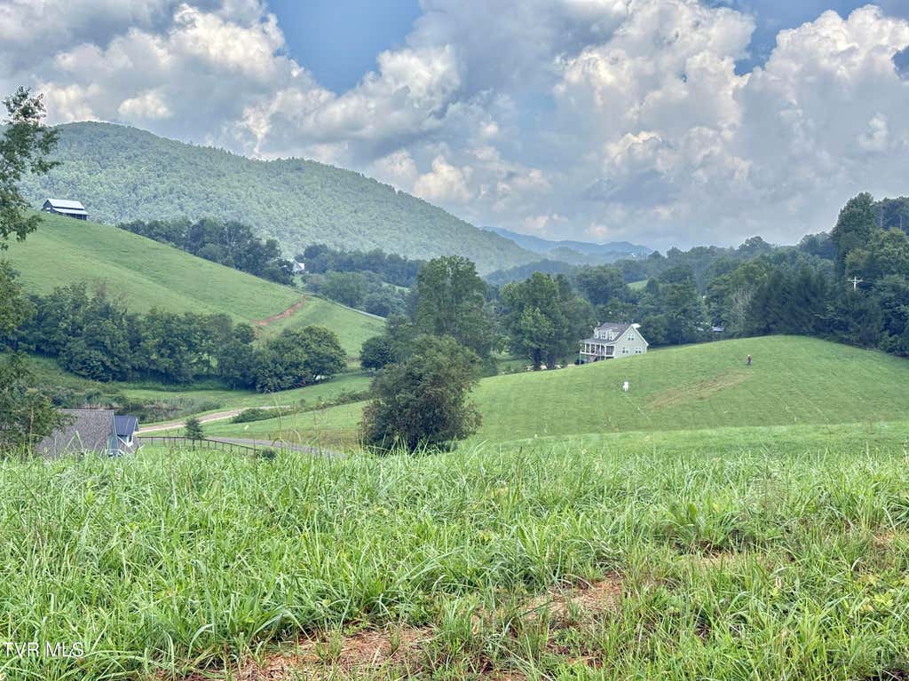 Photo of 10 W Of Dry Hill Road, Butler, TN 37640 (MLS # 9999598)