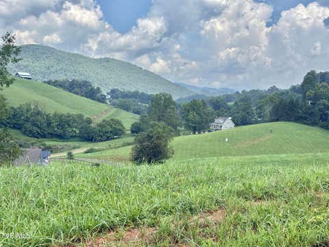 Vacant Land For Sale - LOT 10 W Of Dry Hill Road<br/> Butler, TN 37640