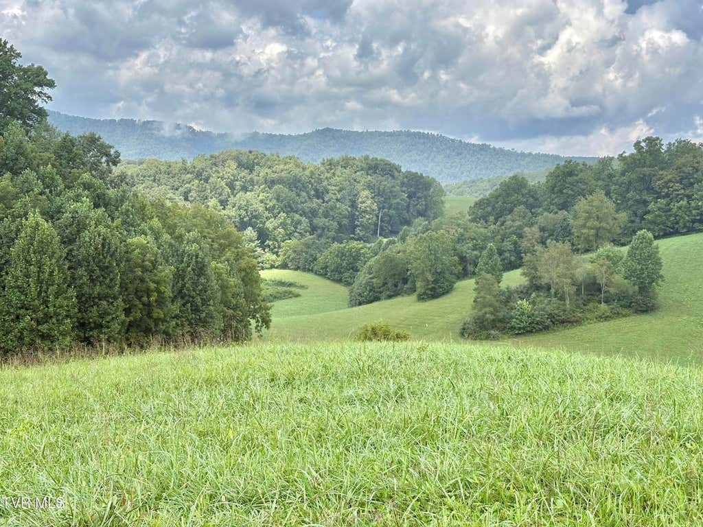 Photo of 10 W Of Dry Hill Road, Butler, TN 37640 (MLS # 9999598)