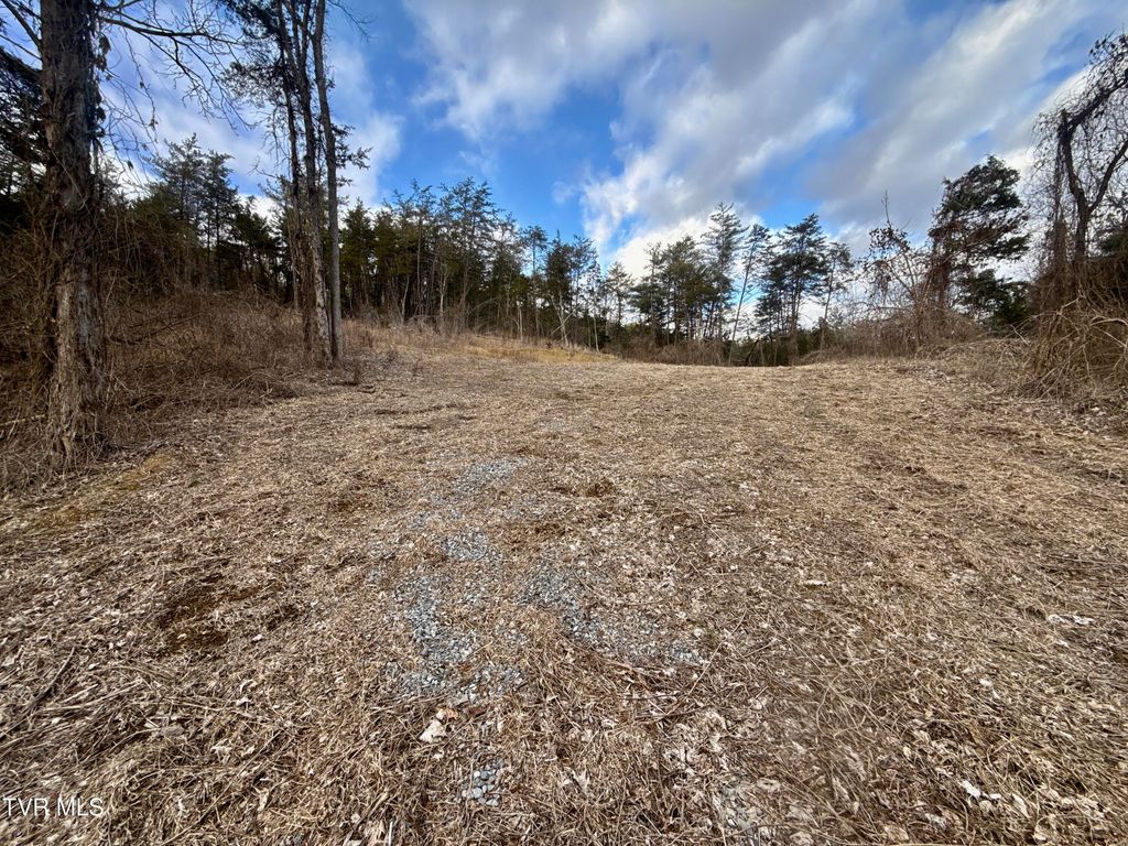 Photo of 25 Tbd Coy Bradley Lane, Bulls Gap, TN 37711 (MLS # 9990639)