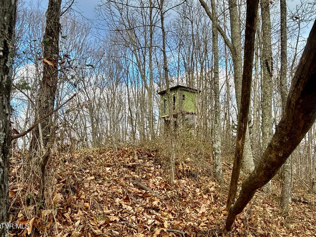 Photo of 25 Tbd Coy Bradley Lane, Bulls Gap, TN 37711 (MLS # 9990639)