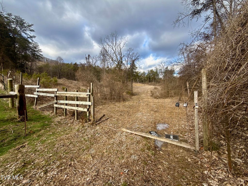Photo of 25 Tbd Coy Bradley Lane, Bulls Gap, TN 37711 (MLS # 9990639)