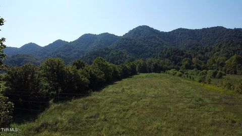 Vacant Land For Sale - TBD Fairview Road<br/> Blackwater, VA 24221