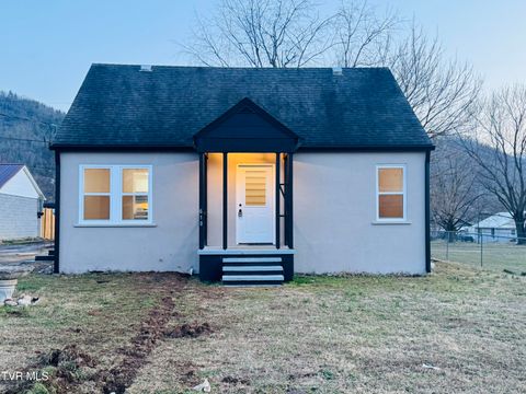 Photo of 610 Washington Street, Erwin, TN 37650 (MLS # 9991404)
