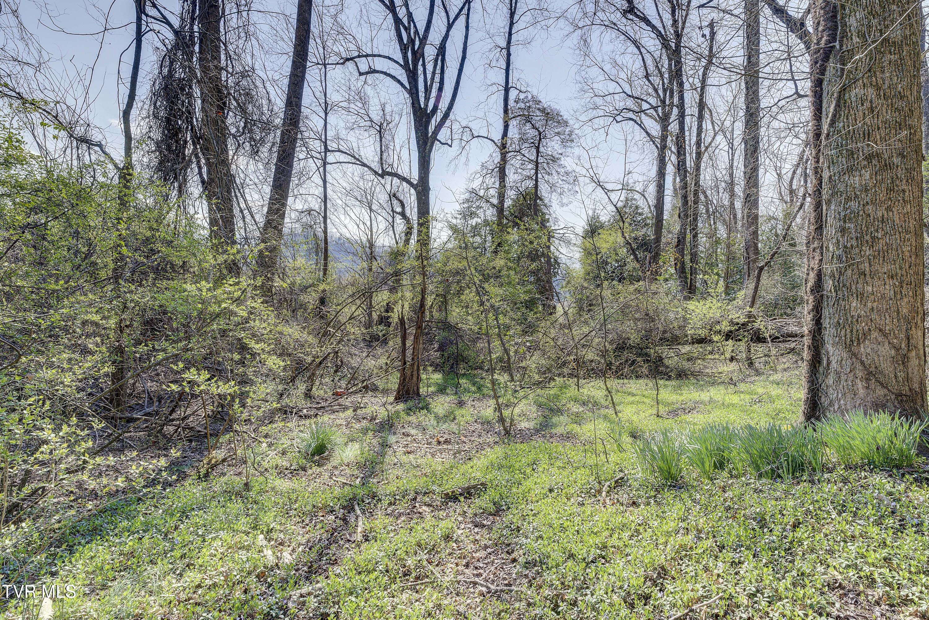 143 Zeb Grindstaff Road, Elizabethton, Tennessee image 44