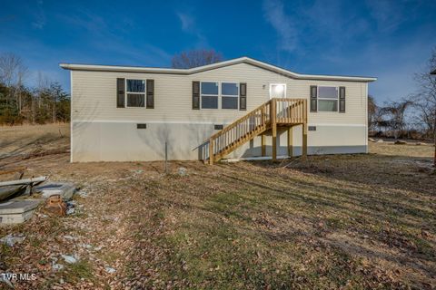 Photo of 456 Meadow View Road, Bristol, TN 37620 (MLS # 9990663)
