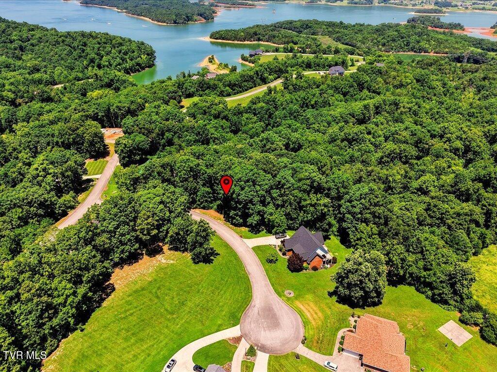 Photo of 6519 Smoky Mountain Court, Russellville, TN 37860 (MLS # 9997800)