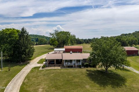 Photo of 370 Splatter Creek Road, Limestone, TN 37681 (MLS # 9995740)