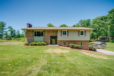 Photo of 2929 Carrollwood Drive, Kingsport, TN 37660 (MLS # 9996397)