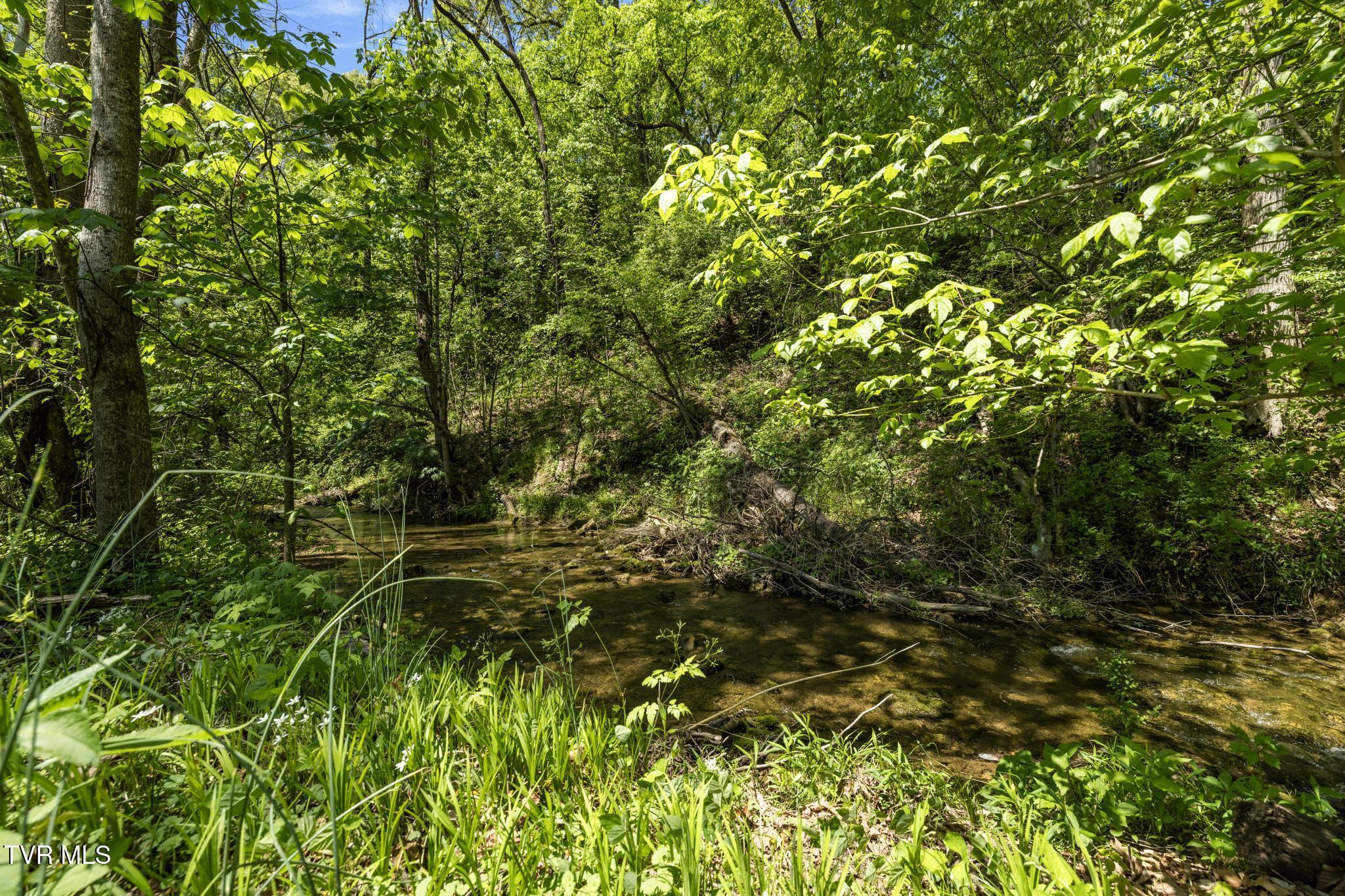 153 Rippling Run Road, Kingsport, Tennessee image 35