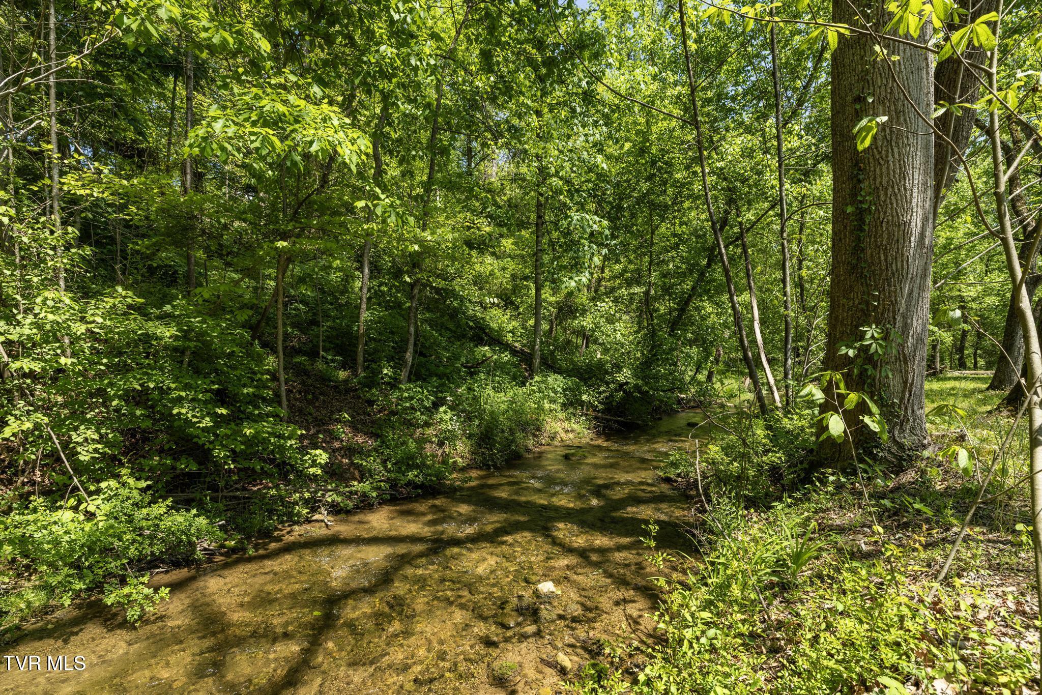 153 Rippling Run Road, Kingsport, Tennessee image 5