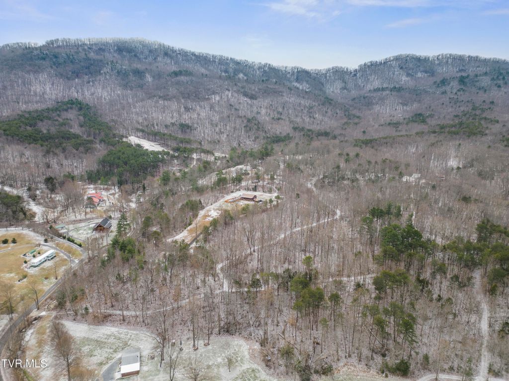 Photo of Tbd Tweed Springs Road, Greeneville, TN 37743 (MLS # 9993210)