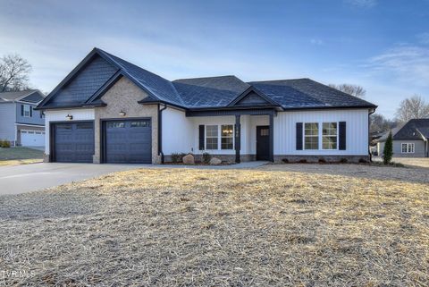 Photo of 146 Ervin Loop, Erwin, TN 37650 (MLS # 9990088)