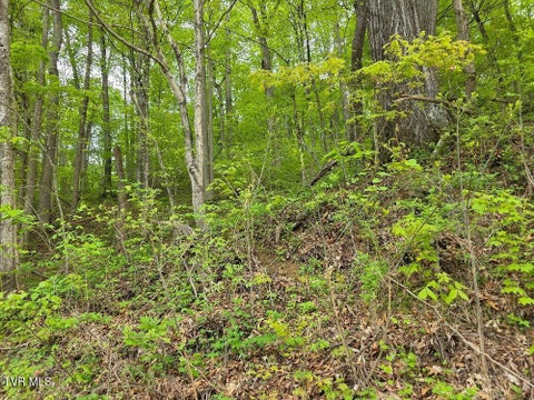 Vacant Land For Sale - TBD Garrison Hollow<br/> Elizabethton, TN 37643