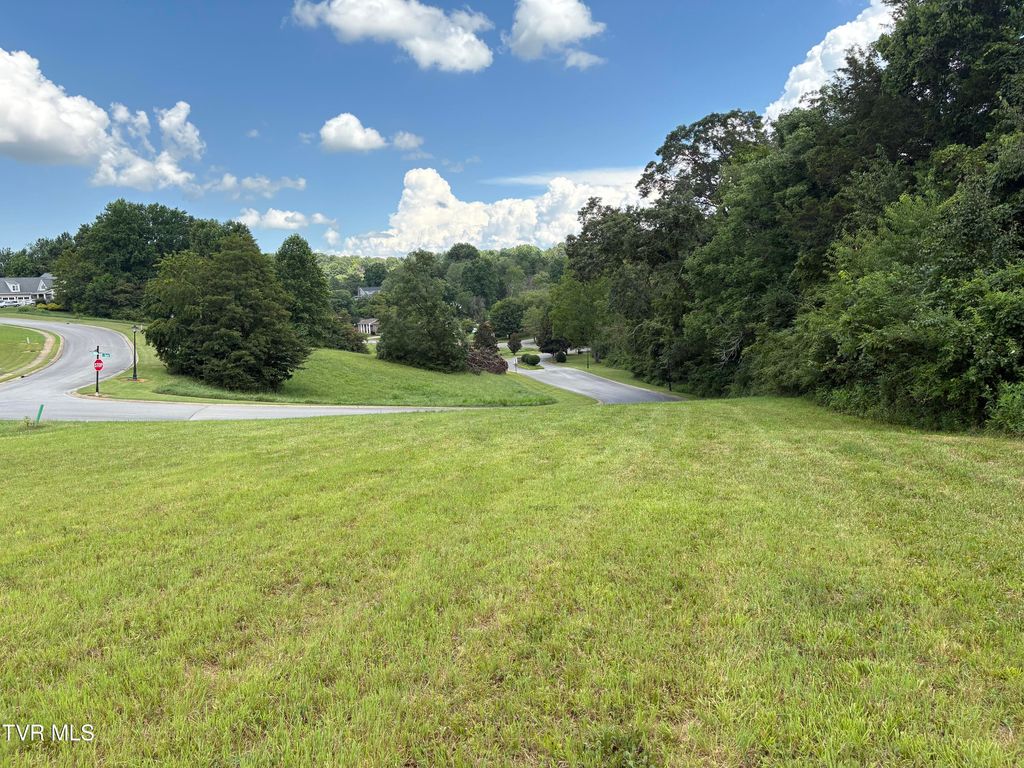 Photo of 92 Bedford Circle, Greeneville, TN 37743 (MLS # 9983241)