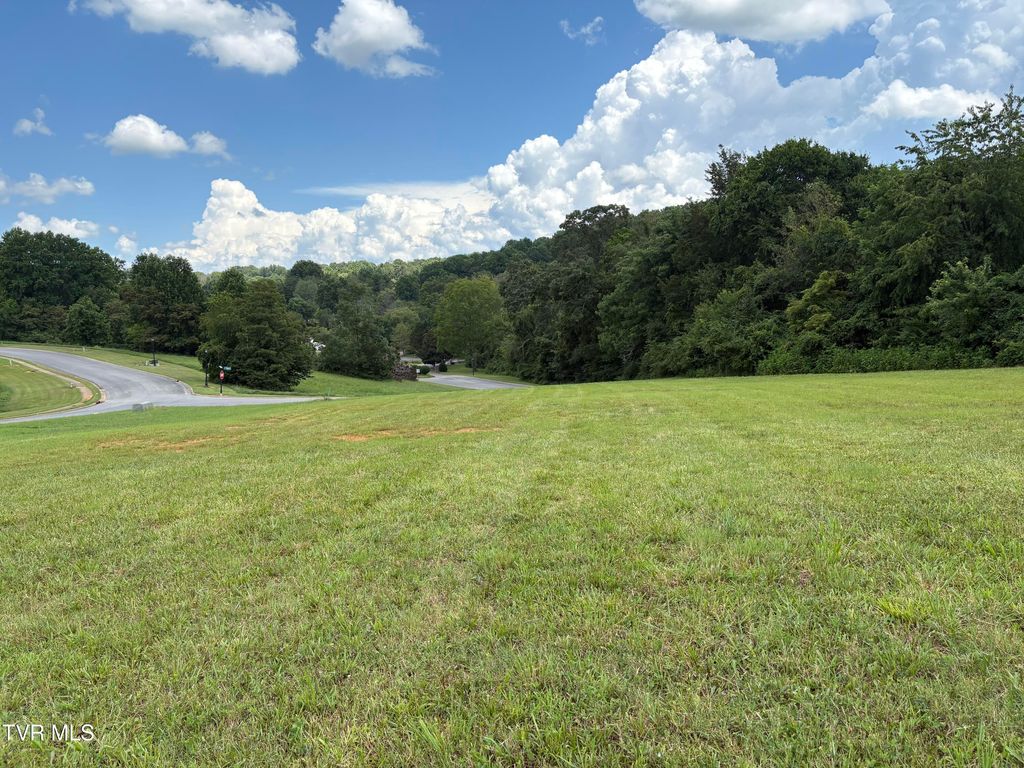 Photo of 92 Bedford Circle, Greeneville, TN 37743 (MLS # 9983241)