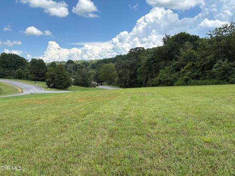 Vacant Land For Sale - .92 AC Bedford Circle<br/> Greeneville, TN 37743