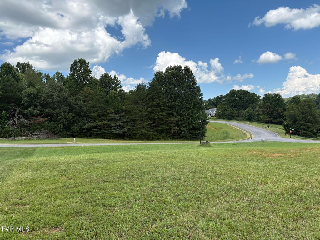 Photo of 92 Bedford Circle, Greeneville, TN 37743 (MLS # 9983241)