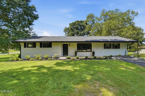 Photo of 741 Gray Sta-Sul Springs Road, Gray, TN 37615 (MLS # 10000369)