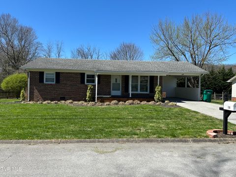Photo of 106 Buffalo Court, Erwin, TN 37650 (MLS # 9993065)