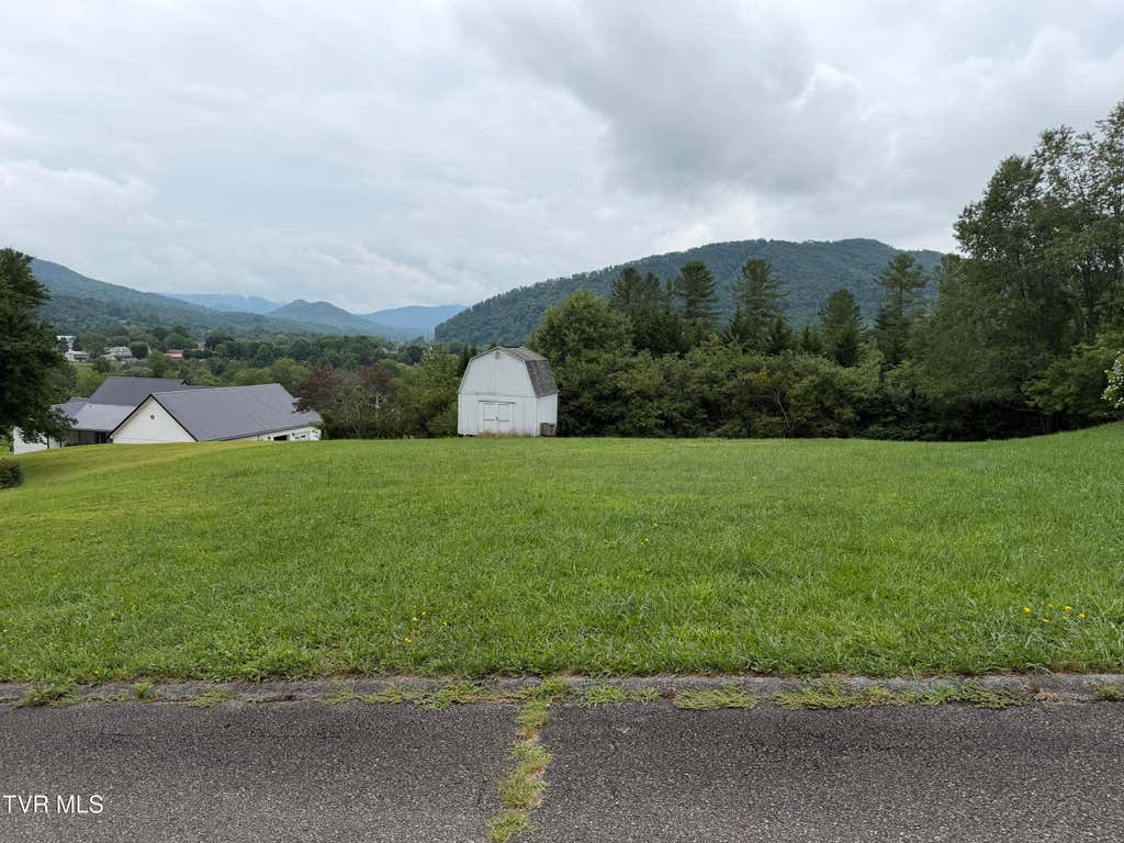 Photo of 261 Hilmore Drive DR, Mountain City, TN 37683 (MLS # 9998571)