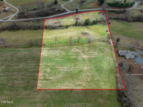Vacant Land For Sale - LOT 1 Weaver Branch Rd<br/> Bluff City, TN 37618