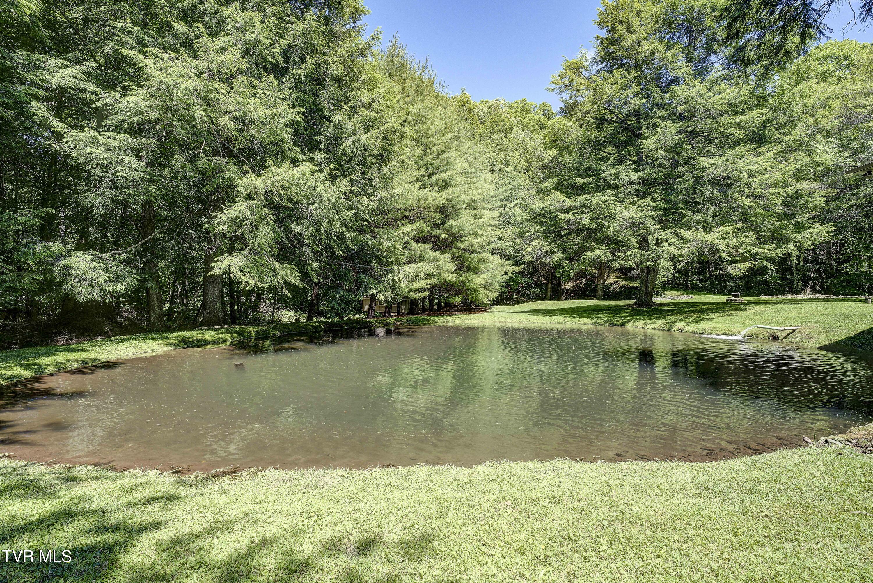 122 Chase Drive, Roan Mountain, Tennessee image 20
