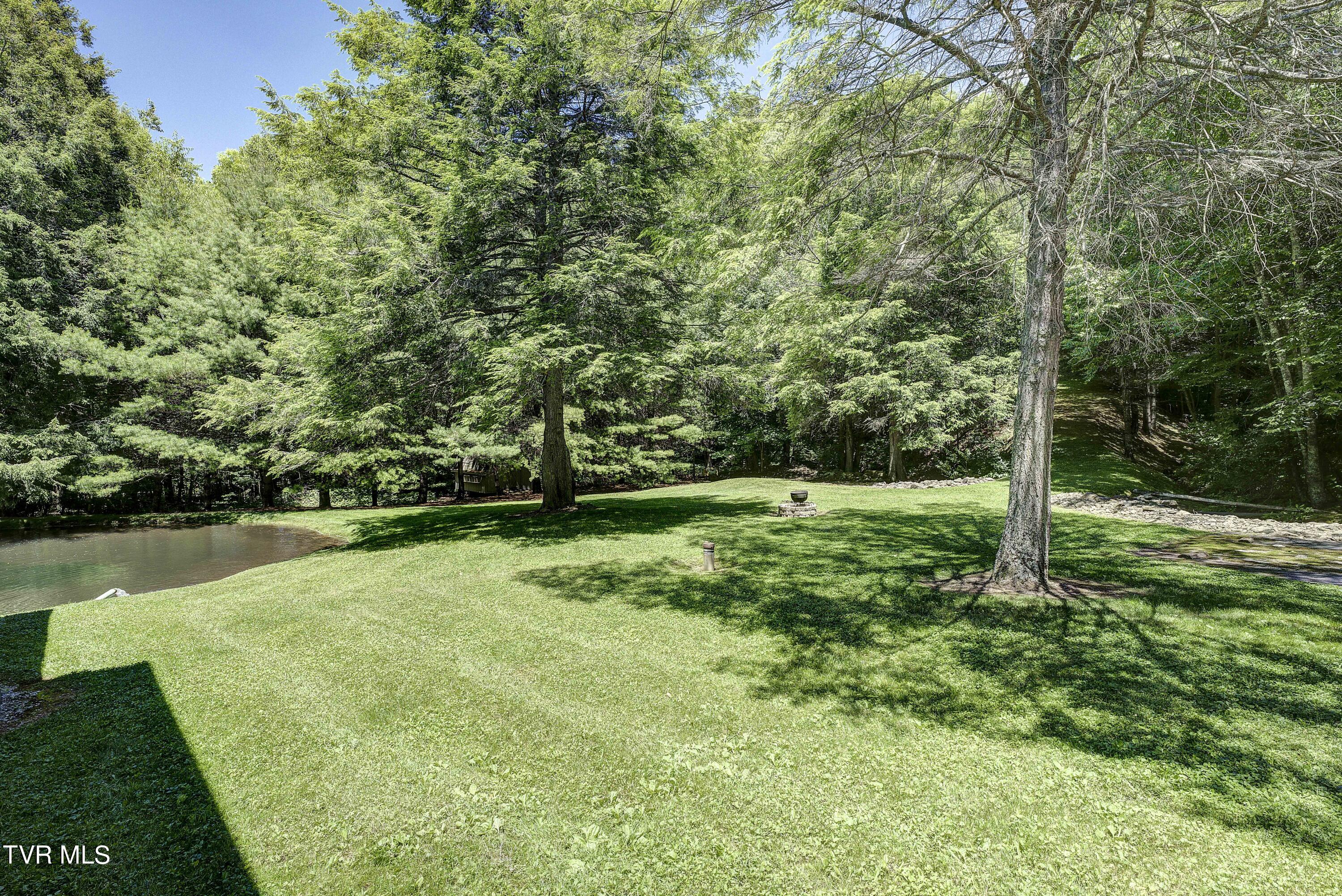 122 Chase Drive, Roan Mountain, Tennessee image 14