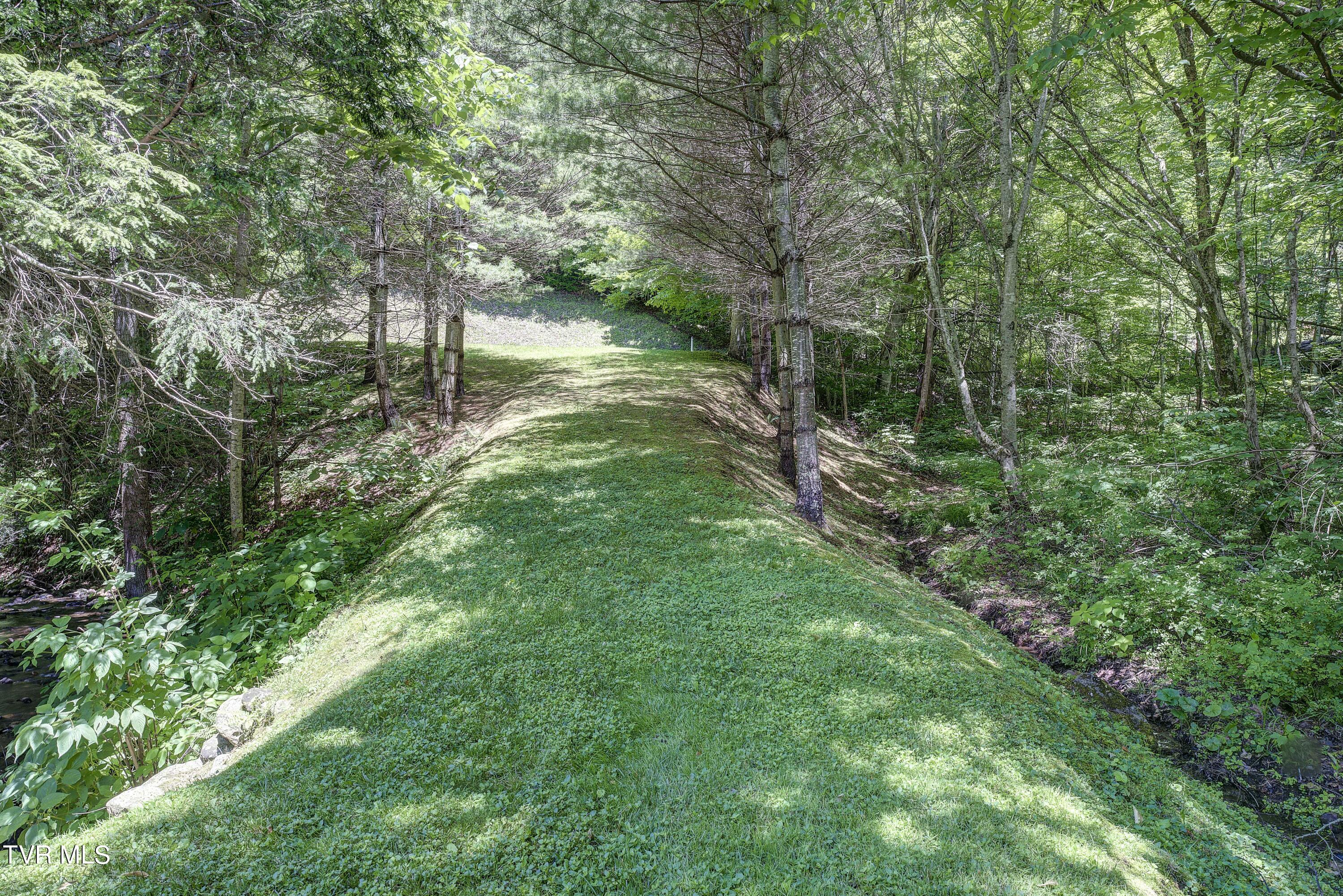 122 Chase Drive, Roan Mountain, Tennessee image 15