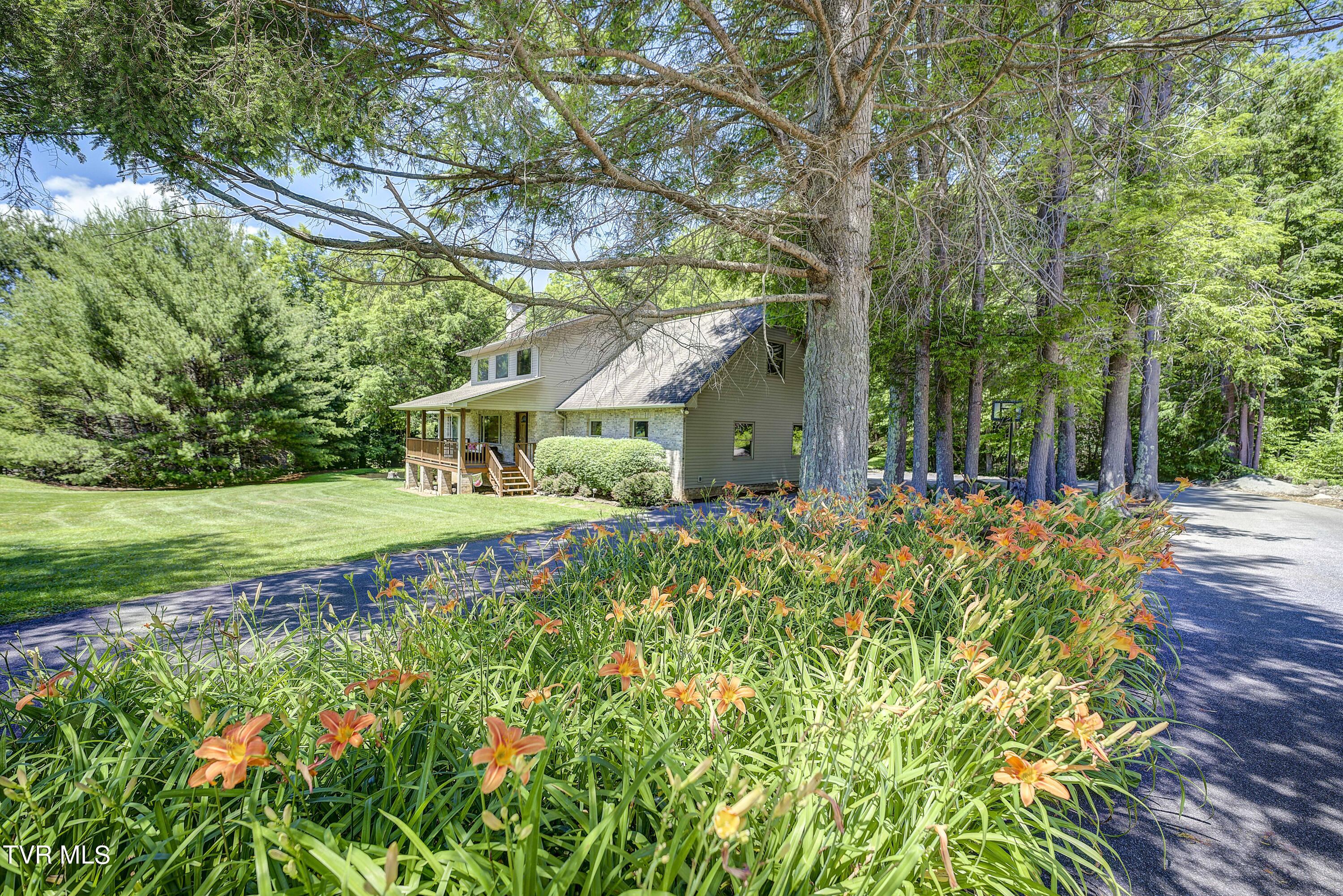 122 Chase Drive, Roan Mountain, Tennessee image 1