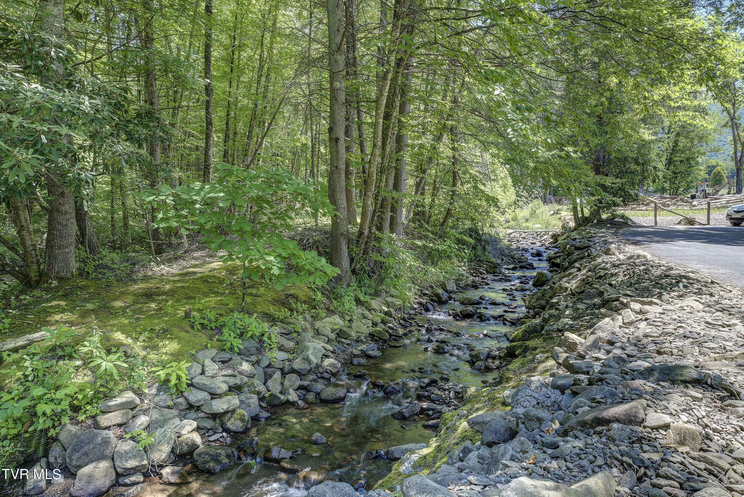 122 Chase Drive, Roan Mountain, Tennessee image 18