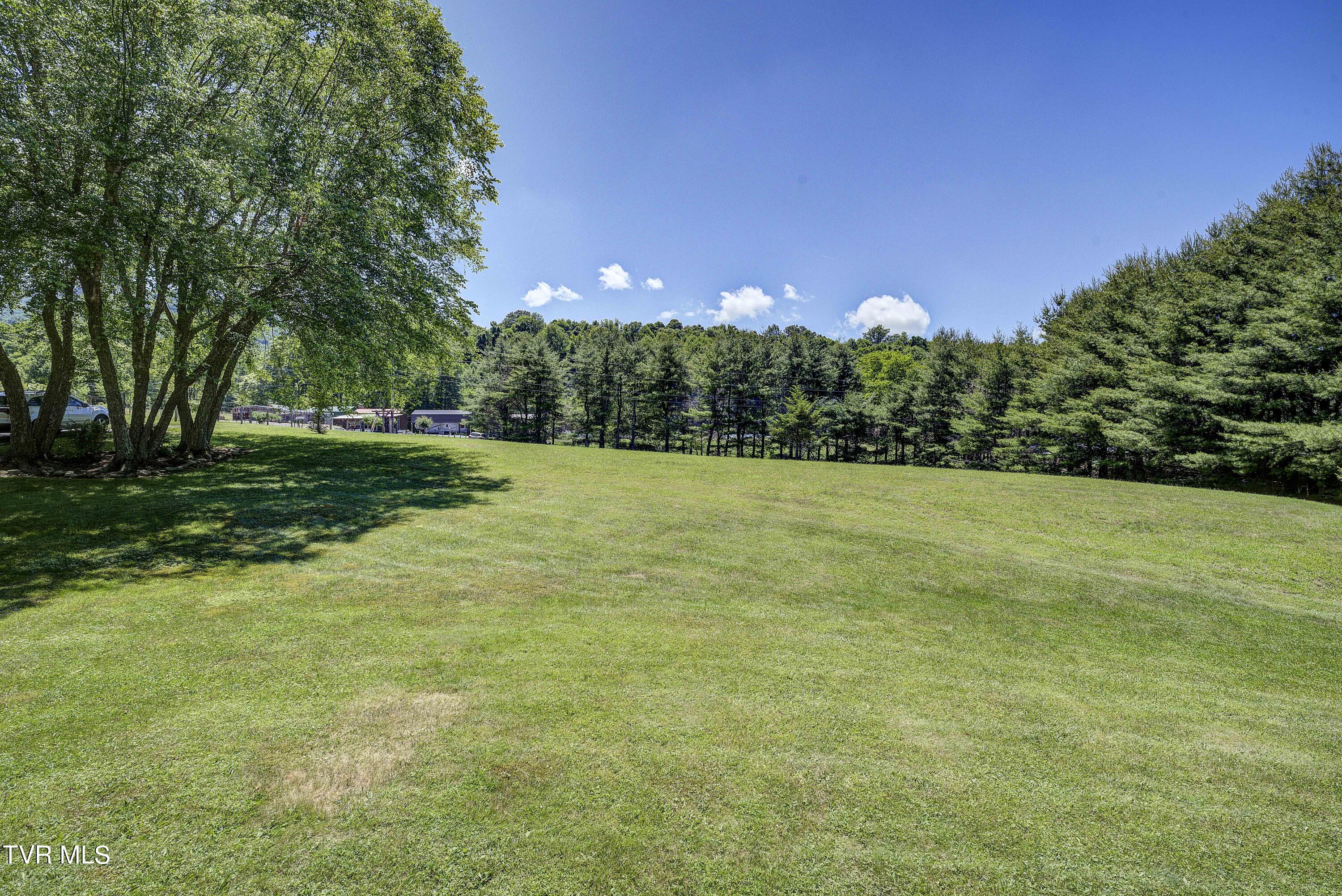 122 Chase Drive, Roan Mountain, Tennessee image 13