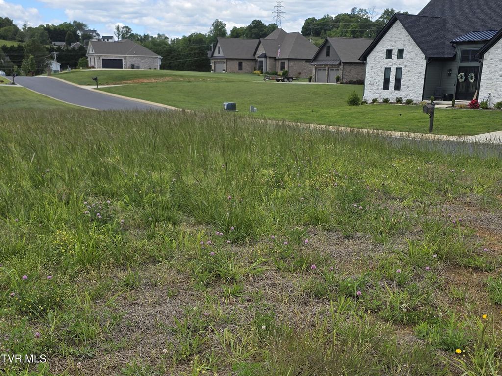 Photo of 0 Cattlemans Trail, Jonesborough, TN 37659 (MLS # 9997251)