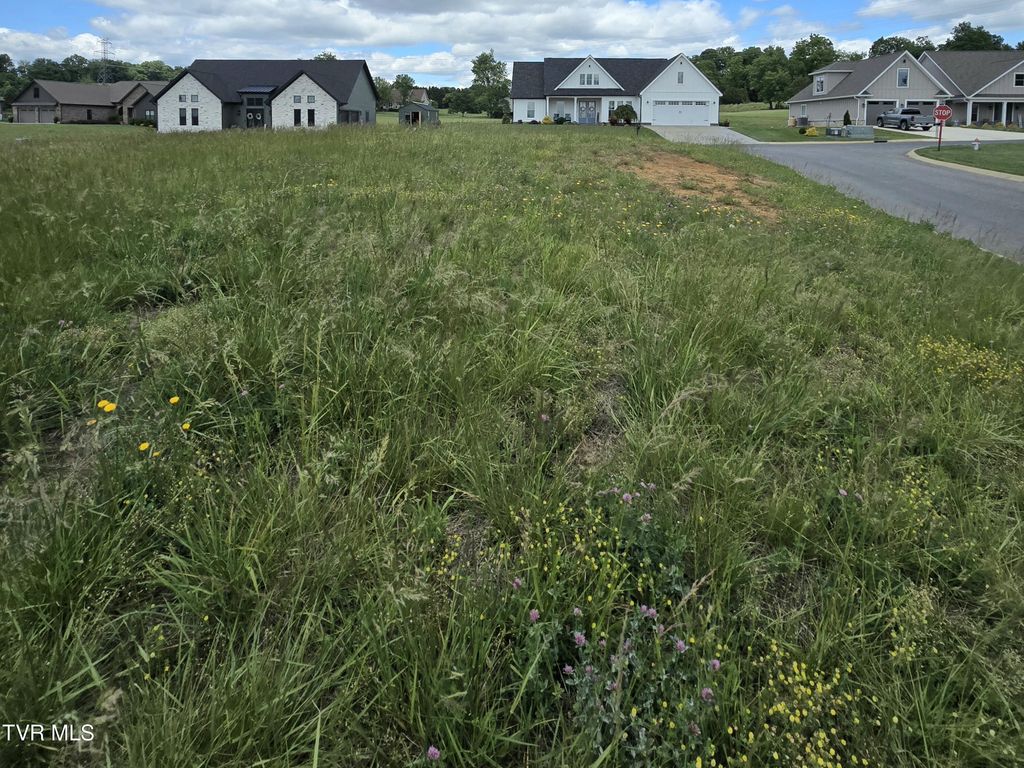Photo of 0 Cattlemans Trail, Jonesborough, TN 37659 (MLS # 9997251)