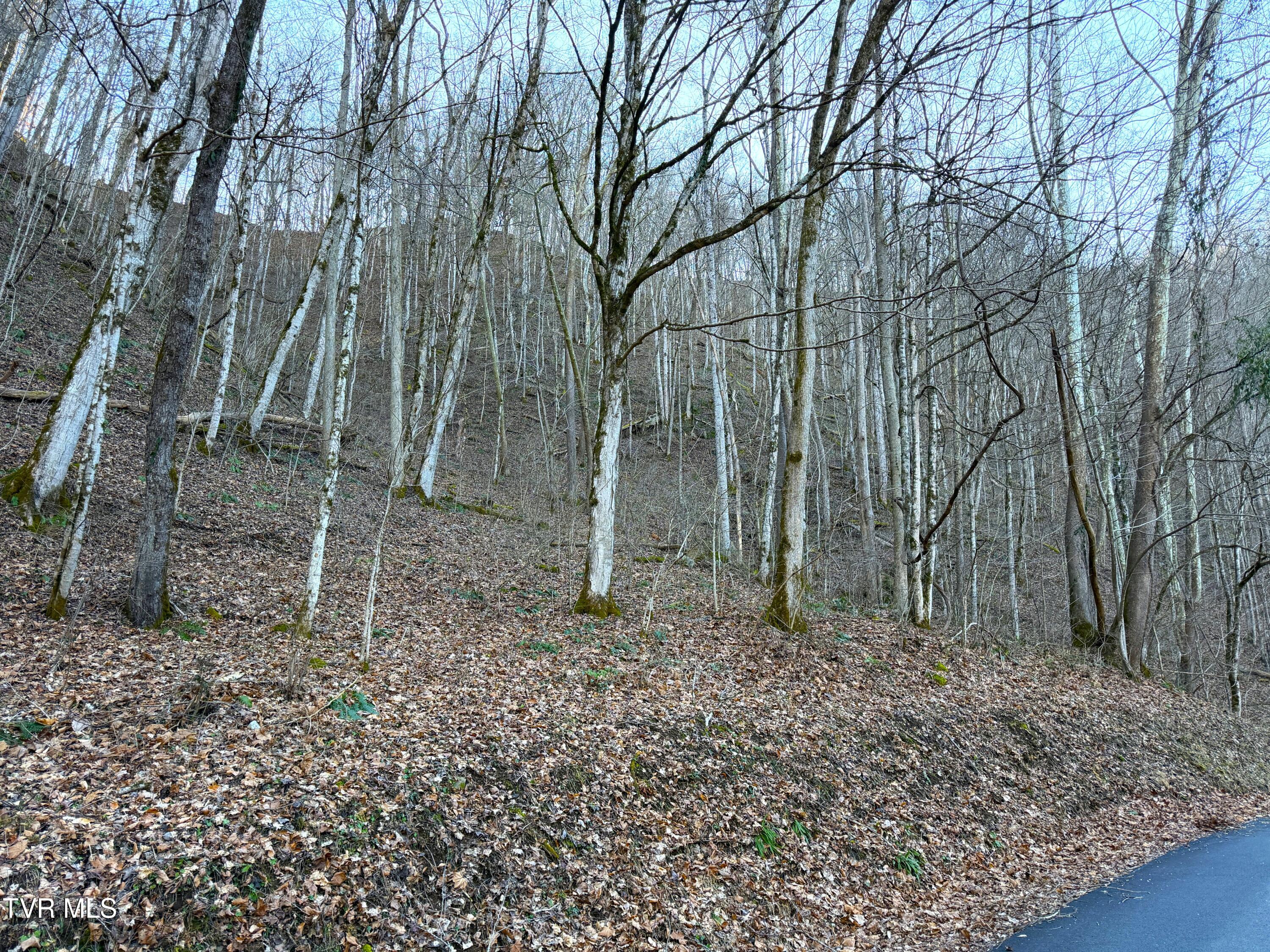 14 Ac Horton Ford Road