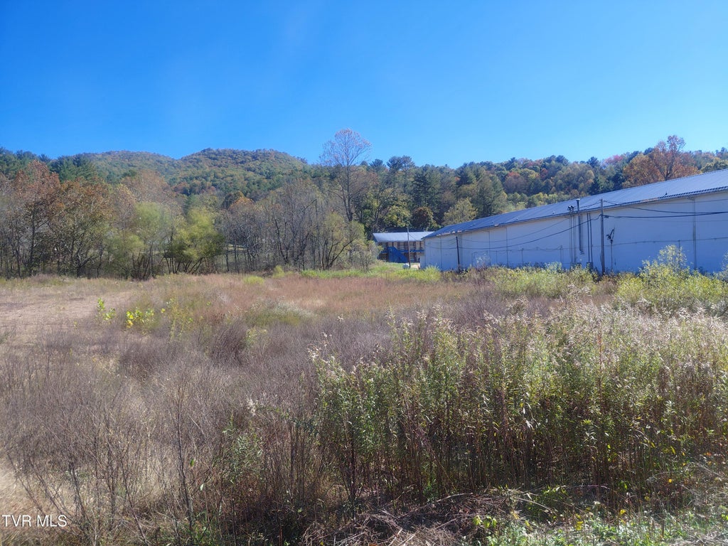 Photo of 1489 Shady Street, Mountain City, TN 37683 (MLS # 10002502)