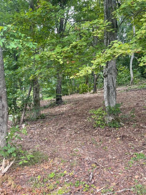 Vacant Land For Sale - LOT 35 Chimney Top Lane<br/> Chuckey, TN 37641