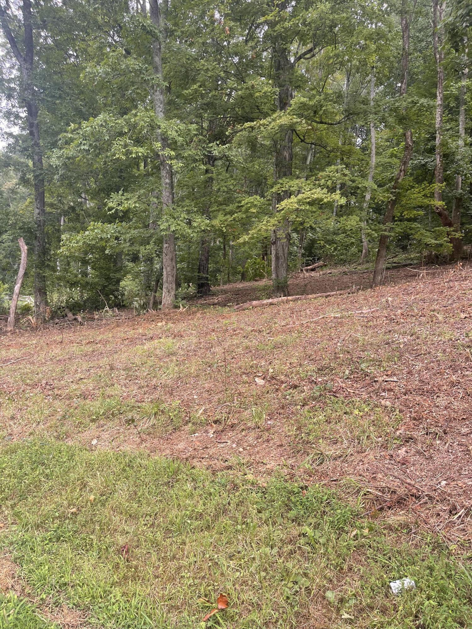 Lot 35 Chimney Top Lane, Chuckey, Tennessee image 3