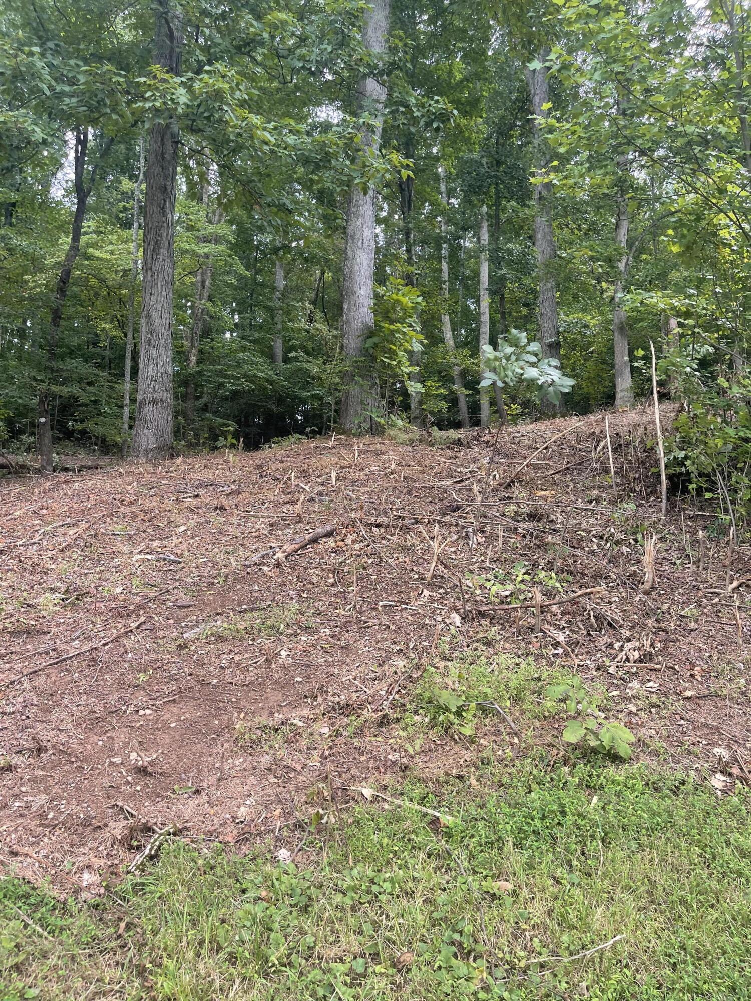 Lot 35 Chimney Top Lane, Chuckey, Tennessee image 6