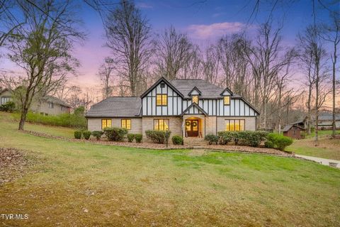 Photo of 2506 Beechwood Drive, Elizabethton, TN 37643 (MLS # 9993118)