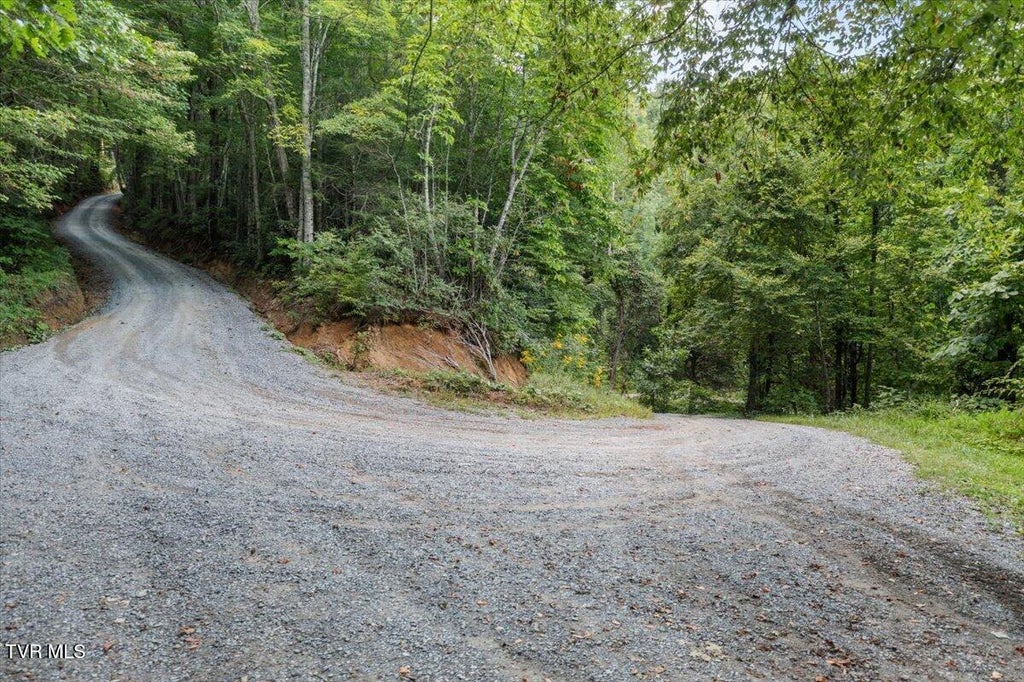 Photo of 1259 Heaton Branch Road, Butler, TN 37640 (MLS # 10000806)