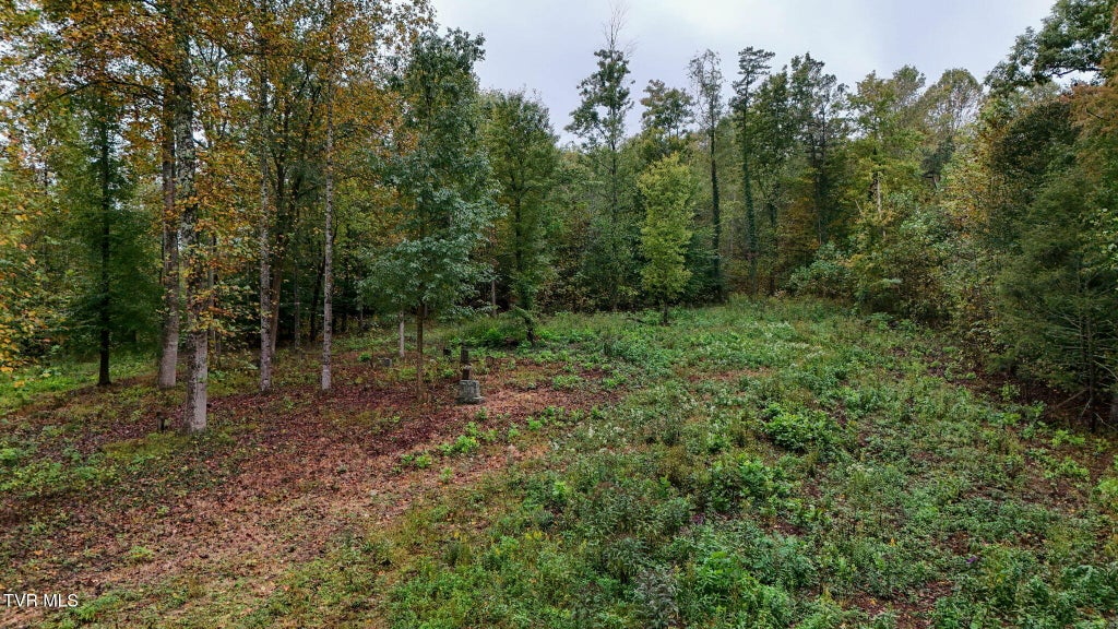 Photo of 0000 Sinking Creek Road, Johnson City, TN 37604 (MLS # 10002444)