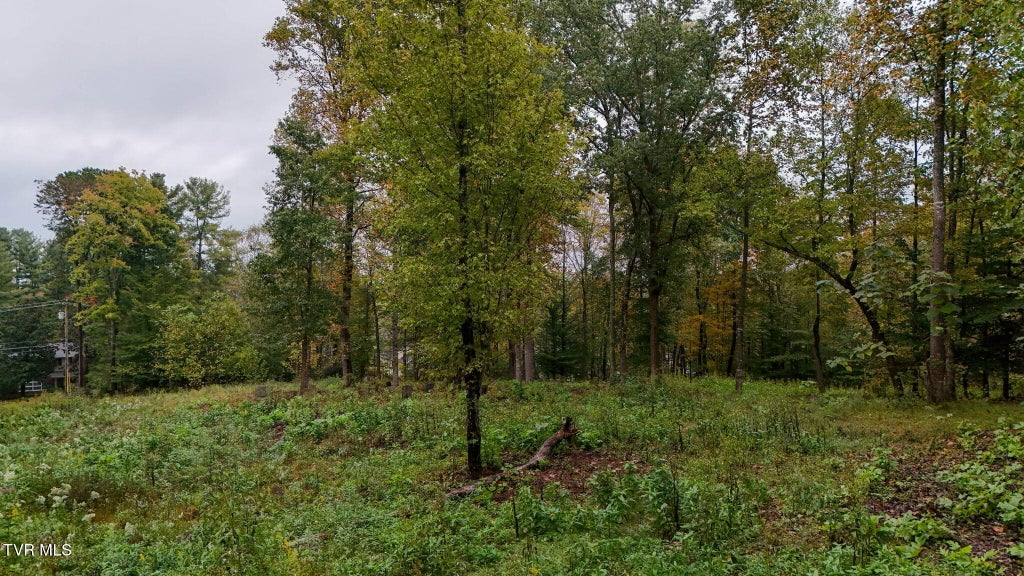 Photo of 0000 Sinking Creek Road, Johnson City, TN 37604 (MLS # 10002444)