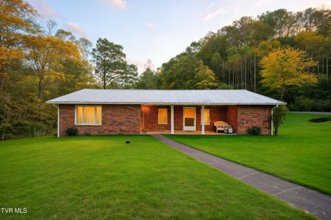 Homes For Sale - 613 Turkey Branch Branch<br/> Dickenson County, Clinchco, VA 24226